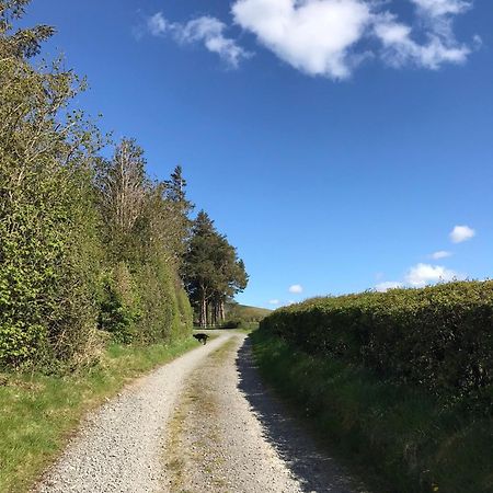Chic Cottage Near Elan Valley And Builth Wells Llanwrthwl Экстерьер фото