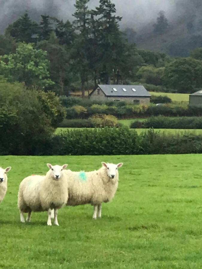 Chic Cottage Near Elan Valley And Builth Wells Llanwrthwl Экстерьер фото